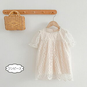 q hX oR[f  oN p[X s[X  [X 킢 ̎q xr[ LbY t  qǂ q Ԃ  av[g  p[eB