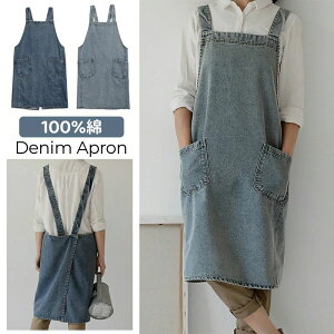 fjGv H^Gv 100 obNNX  傫TCY @\|Pbg jp ƒp ۈm X k K[f JtF 100 y \ ɂ ƃGv