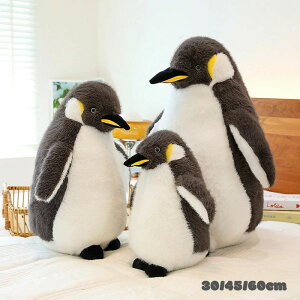  ʂ  yM penguin l`  NbV CeA j ޏ Mtg ̎q q   킢 ޏ ӂӂŖ _炩 Sn