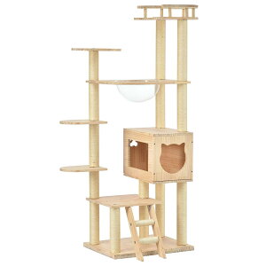 Lbg^[ ؐ FD u  165.5cm  Lbg^[ ؐ ^ R ܂Ƃ{[ Lxbh SS ybgpi  