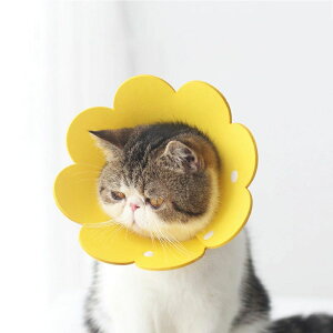 2Zbg L J[ GUxXJ[ lR Lp \tg _炩  ybgp pi ޖh~ ybgpi EVAf \tgGUxXJ[ ȒP y _炩 y p 