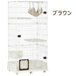 L P[W 3i nbNt LbgP[W L LX^[t LQ[W  LbgnEX lR nEX i  ی Eh