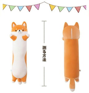    nXL[ ʂ O Q ԓp 70/90/110/130cm NbV  CeA q  