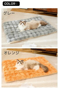 ybgxbh ybg}bg  􂦂 ~ H L  ybguPbg ѕz  ӂƂ ӂӂ  ې Lxbh