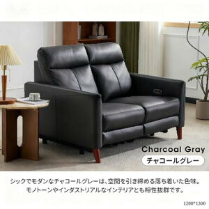 y[EH[zl|\t@ d NCjO USB+Type-C[dt 156° NCjO\t@ 2l| Ibg}̌^ d