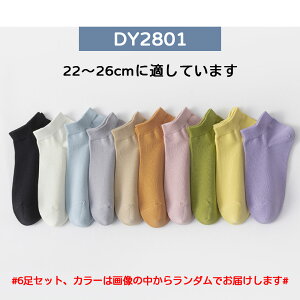 C \bNX AN\bNX fB[X 6Zbg 22-26cm Ԃ hL R n _炩 ʋC  C  