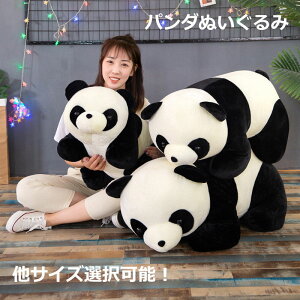 p_ʂ TCY 80cm  mN  쓮 ܂ ʂ  킢 ObY  Aj} p_   JvZRNVtBMA т