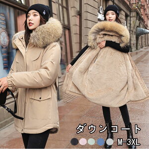 Nу_ER[g hR[g _E fB[X  R[g t[gt Xqt |Pbg |Pbgt N h h ʋ ʊw O ~   y ӂ VN v