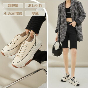 fB[X V[Y Xj[J[ C ₷  4.3cm ʋC ₷ ɂ t  H ~  {v ؊v y e͐ 킹₷  g Ȃ 