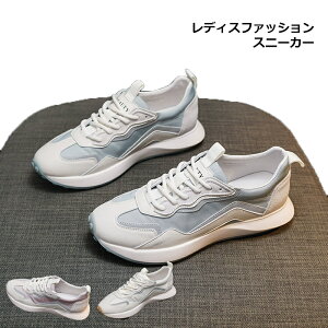 jOV[Y Xj[J[  킢 fB[X   3.5cm Cq[ [ ʋC jO V[Y S  C ₷ 3J[ 傫 TCY W EH