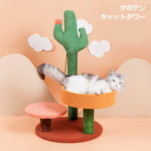 T{eLbg^[ Lbg^[ L^[ ^[ lR^[ T{e  ybgpi TCU Ȉ ȒPCXg[ R ߂Ƃt  ꏊȂ ߂Ƃ