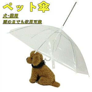 ybgpP ~J΍ ɂ񂱁񂿂񂨎UpP ybgAu n NA ܂肽݉\ RpNg[\  זh~ ^ƔLɓKp J̓GꂸɎU\ 