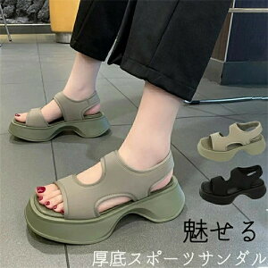 X|[cT_ fB[X t  T_  X|[cT_ Y RtH[gT_ X|T y ₷ ][g r[`T_ _bhV[YfUC 傫