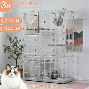 L P[W LbgP[W 3i L݌v Rgݍ킹 LhAt nbNt ^ LQ[W   LbgnEX lR nEX i  ی Eh~   X