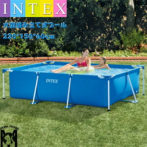INTEX gݗĎ rj[v[ v[ t[ gݗ ^ 2.2M 220*150*60CM ` ^ t@~[v[ qv[ V V ƒp  MǑ΍ q LbY l q 