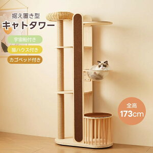 yŐVfzLbg^[  ^ FD ؐ 艺肵₷ u S173cm R ybgpi JSxbh^s B W]  VR  LnEX ^L