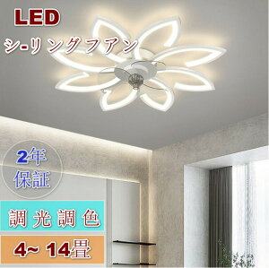 y2Nۏ؁zV[OCg V[Ot@ V[Ot@Cg ^ 78cm 90cm led F k T[L[^[ ȃGl  t@tƖ Ɩ VƖ @ dc[