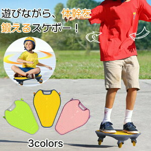 EO{[h XP[g{[h XP{[ LbYXP{[ q LbY S l 3 Xg[g X|[c Op^ 蕨  fbL ̂b ^sP