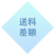 送料差額専用