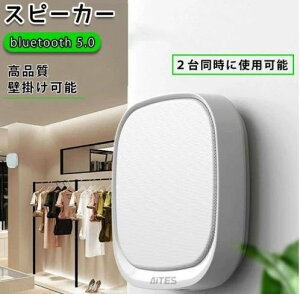 ���C�����X �Ǌ|���\ ������ �u���[�g�D�[�X �茳�X�s�[�J�[ ������� 15���ԘA���Đ� �|�[�^�u���X�s�[�J�[ �J���t�� �����R���t�� AUX���� USB������ FM���W�I ���@�\ �p�\�R�� �R���p�N�g