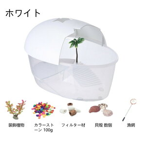 Jp 傫 J  T̐ T P[X {bNX ^[g^N ڂ ~hK NTK Xb| ώ@ rE Ki GTM /PET