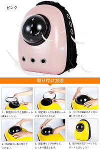 ybg L[obO ybgobO o FDJvZ^ybgobO Lp LL[bN 12 ʋCE lR  obO bNL[ bN bN^ybgL