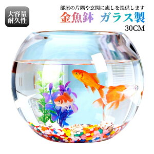 30cm  KX    a  ~j  @\ ϗtA \KXe e  x^ _J AJqȂ   