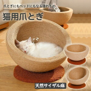 CeAזȂ傫Ȓ܂Ƃ 2in1@\L܂Ƃ L˂xbh ܖ ߂Ƃ 킢 L lRxbh ߂Ƃ ܌  ^sP v