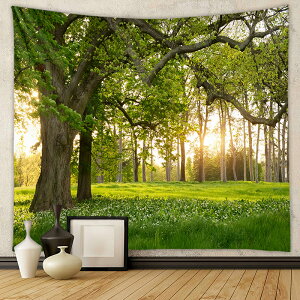 ^yXg[ 唻 150×200cm 180X230cm Ǌ| CeA X^yXg[ R   z ډB wiz X c[     i ؘR R |X^[ ʐ^ t@ubN|X^