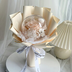 vU[uht[ v|[Y ԑ o i ͂Ȃ [YX^hu[P ledCgt MtgobOt    u[P 5color lC w  Mtg  