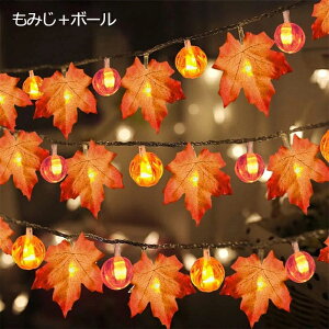 nEB  ݂ gt J{`Cg LEDCg 3m 20d XgOCg ڂ JGf̗t LEDC~l[V dr LEDd d _/_ nEB   O 