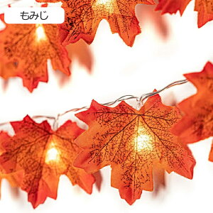 nEB  ݂ gt J{`Cg LEDCg 3m 20d XgOCg ڂ JGf̗t LEDC~l[V dr LEDd d _/_ nEB   O 