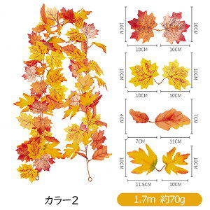 ݂ K[h 2{Zbg lHgtK[h  gt H ̗t lHϗtA tFCNO[ nEB JGf̗t H  Be nEB[ Ӎ NX}X  