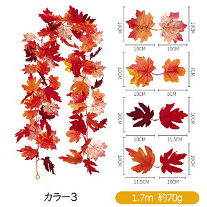 ݂ K[h 2{Zbg lHgtK[h  gt H ̗t lHϗtA tFCNO[ nEB JGf̗t H  Be nEB[ Ӎ NX}X  