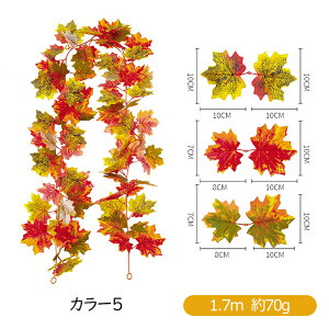 ݂ K[h 2{Zbg lHgtK[h  gt H ̗t lHϗtA tFCNO[ nEB JGf̗t H  Be nEB[ Ӎ NX}X  