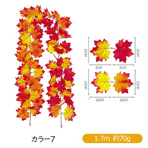 ݂ K[h 2{Zbg lHgtK[h  gt H ̗t lHϗtA tFCNO[ nEB JGf̗t H  Be nEB[ Ӎ NX}X  