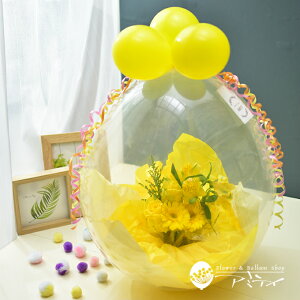 o[t[ o[Mtg NAo[t[AWg j a o[ t[Mtg av[g   d  ylC̃o[t[