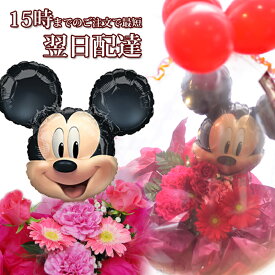 楽天市場 ミッキー 花 観葉植物 花 ガーデン Diy の通販 楽天市場 ミッキー 花 観葉植物 花 ガーデン Diy の通販