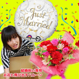 I͂яoo[I d  o[  o[t[ o[Mtg t[Mtg TvCYEFfBOo[t[ j y