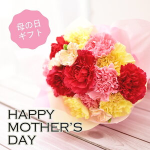 ̓J[l[Vu[Py̓z ̓ AWg