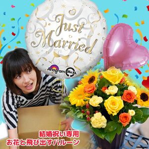 d   o[ o[t[yI͂яoo[Iz TvCYEFfBOo[t[LTCY t[Mtg j j