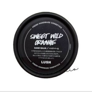 lush bV XC[gChVgX@100g/nho[@Ki