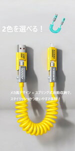 25290013i1_jXvOVF JfUC f[^P[u [dΉ JfUC f[^P[u XvO[dP[u [dP[u X}[g[P[u USB-A + Type-CP