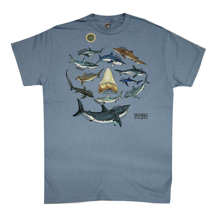 楽天市場】【サメのTシャツ】 11種類のサメと鮫歯Tシャツ【Liberty 