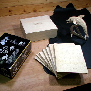 3D gݗĖؐpYZbgyRocks Motion / V[Ct 7zؐpY MtgɍœK@VRfނ̃pY@C̓V[Y ql܂ŊFŎg Ō͐FhĂy߂܂