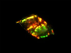 yz ACg Hp jЁE(jH Ji_ Ao[^B XubWY AiCg  A ΃ACg s yh鑾Â̔z ɂ