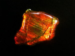 yz ACg Hp jЁE(jH Ji_ Ao[^B XubWY AiCg  A ΃ACg s yh鑾Â̔z ɂ