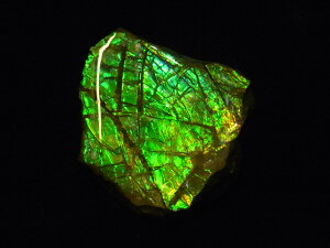 yz ACg Hp jЁE(jH Ji_ Ao[^B XubWY AiCg  A ΃ACg s yh鑾Â̔z ɂ