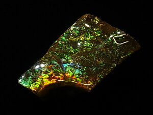 yzACg jЁE(jH Ji_ Ao[^B XubWY AiCg  A ΃ACg s yh鑾Â̔z ɂĂ 