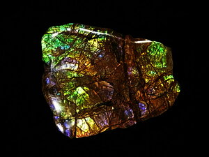 yzACg jЁE(jH Ji_ Ao[^B XubWY AiCg  A ΃ACg s yh鑾Â̔z ɂĂ 